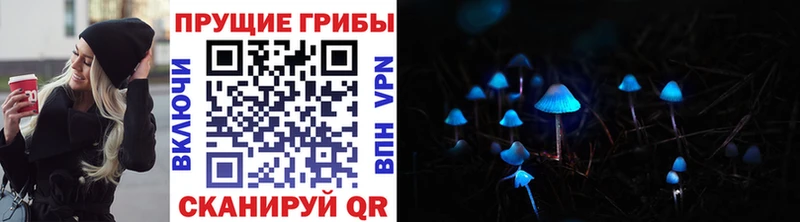 Псилоцибиновые грибы Magic Shrooms  OMG   Воткинск 